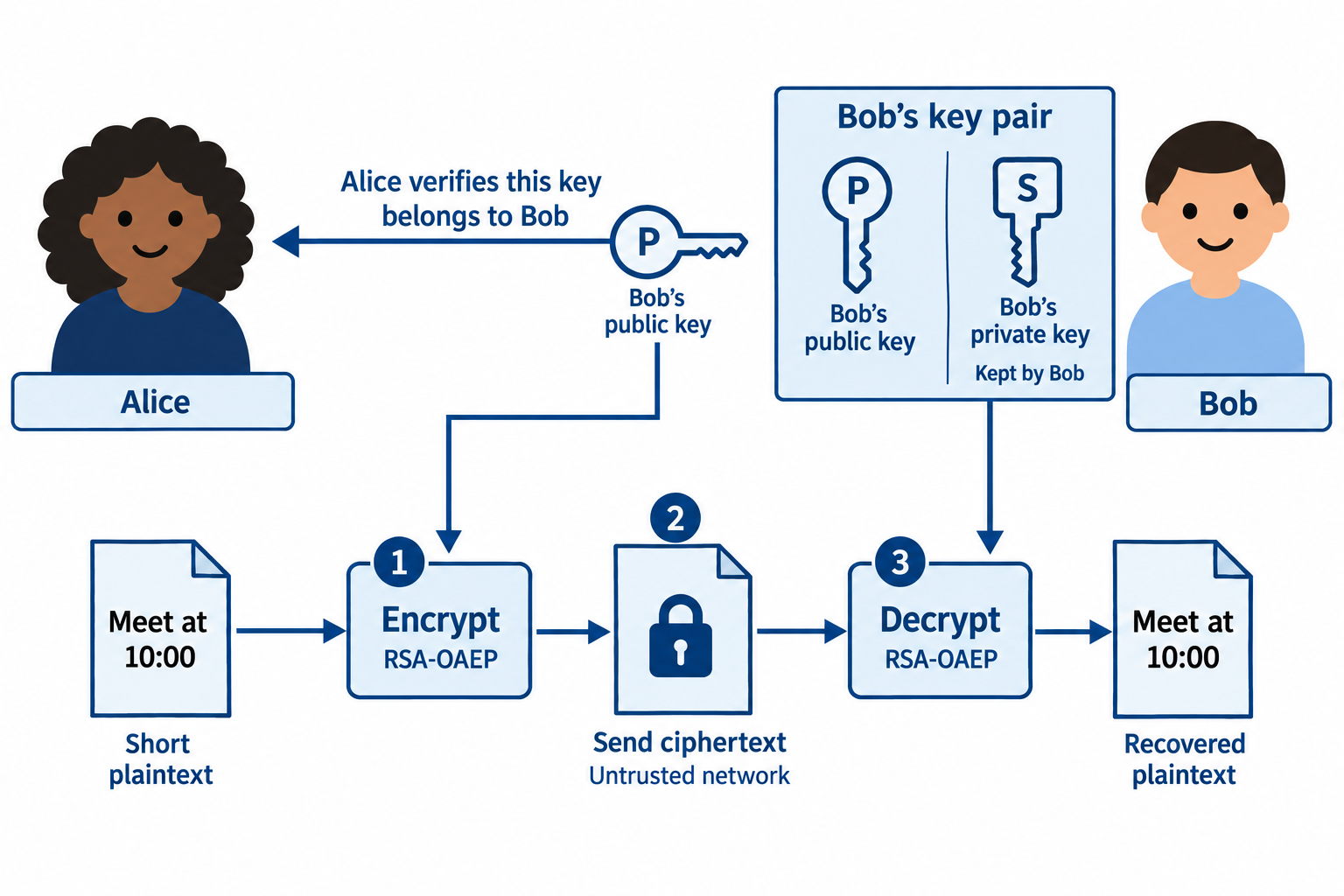 Alice verifies Bob's public key and uses it to encrypt a short note. Bob's private key stays with Bob and decrypts the ciphertext.