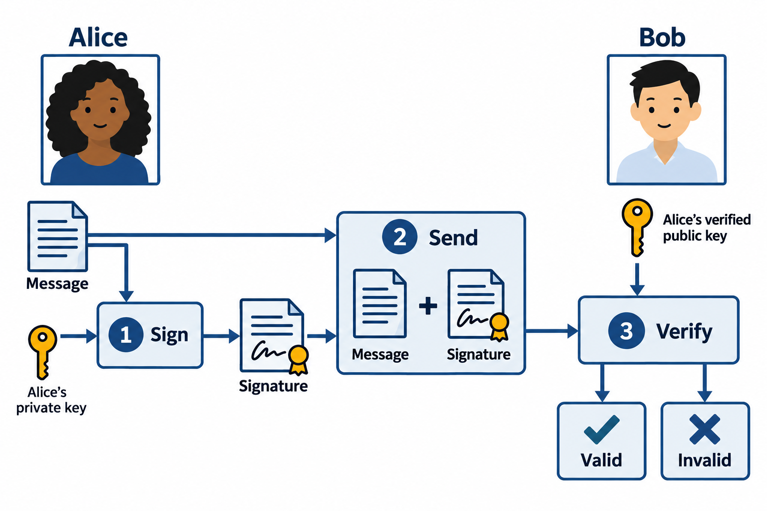 Alice signs a message with her private key and sends the message plus signature. Bob verifies both using Alice's authenticated public key.
