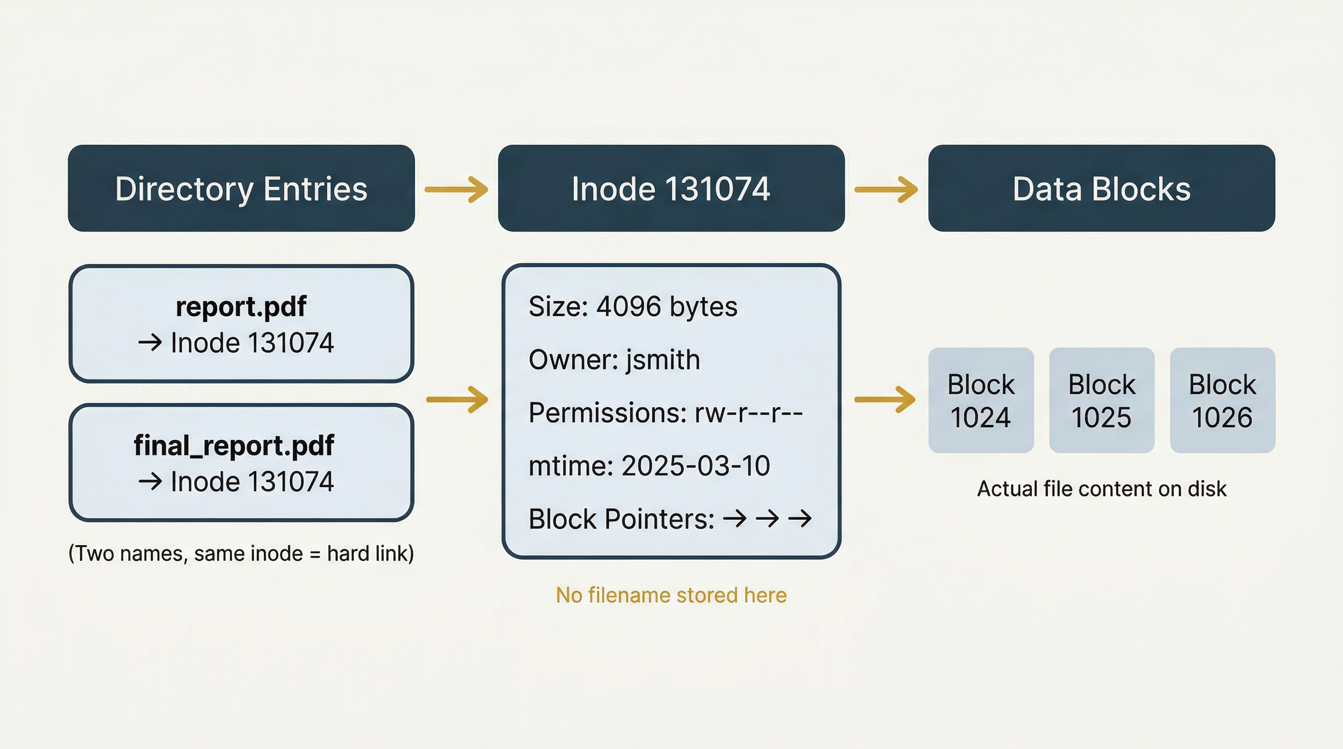 Three-column architecture diagram showing the relationship between Directory Entries, an Inode, and Data Blocks in the ext4 file system. Left column labeled 'Directory Entries' contains two rounded boxes: 'report.pdf → Inode 131074' and 'final_report.pdf → Inode 131074,' with the note '(Two names, same inode = hard link).' A gold arrow points right to the center column labeled 'Inode 131074,' which lists metadata fields: 'Size: 4096 bytes,' 'Owner: jsmith,' 'Permissions: rw-r--r--,' 'mtime: 2025-03-10,' and 'Block Pointers: → → →.' A gold note below the inode reads 'No filename stored here.' A gold arrow points right to the third column labeled 'Data Blocks,' showing three boxes labeled 'Block 1024,' 'Block 1025,' and 'Block 1026' with the caption 'Actual file content on disk.'
