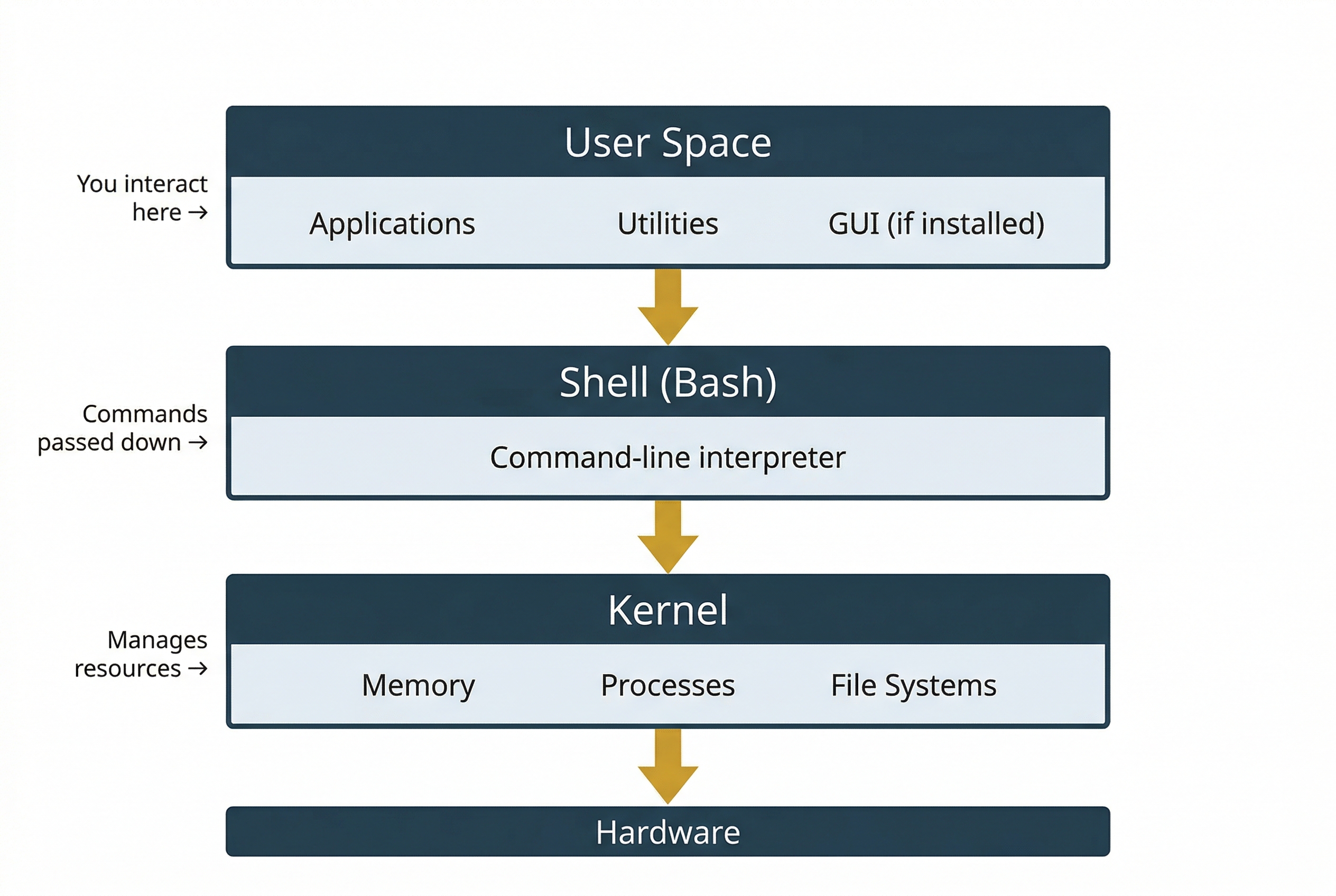 Vertical layered architecture diagram of the Linux operating system showing four tiers connected by downward-pointing gold arrows. Top layer: 'User Space' containing 'Applications,' 'Utilities,' and 'GUI (if installed),' with a side note 'You interact here →.' Second layer: 'Shell (Bash)' described as 'Command-line interpreter,' with a side note 'Commands passed down →.' Third layer: 'Kernel' managing 'Memory,' 'Processes,' and 'File Systems,' with a side note 'Manages resources →.' Bottom layer: 'Hardware.' Each layer is a wide horizontal bar with a dark slate header and light content area.