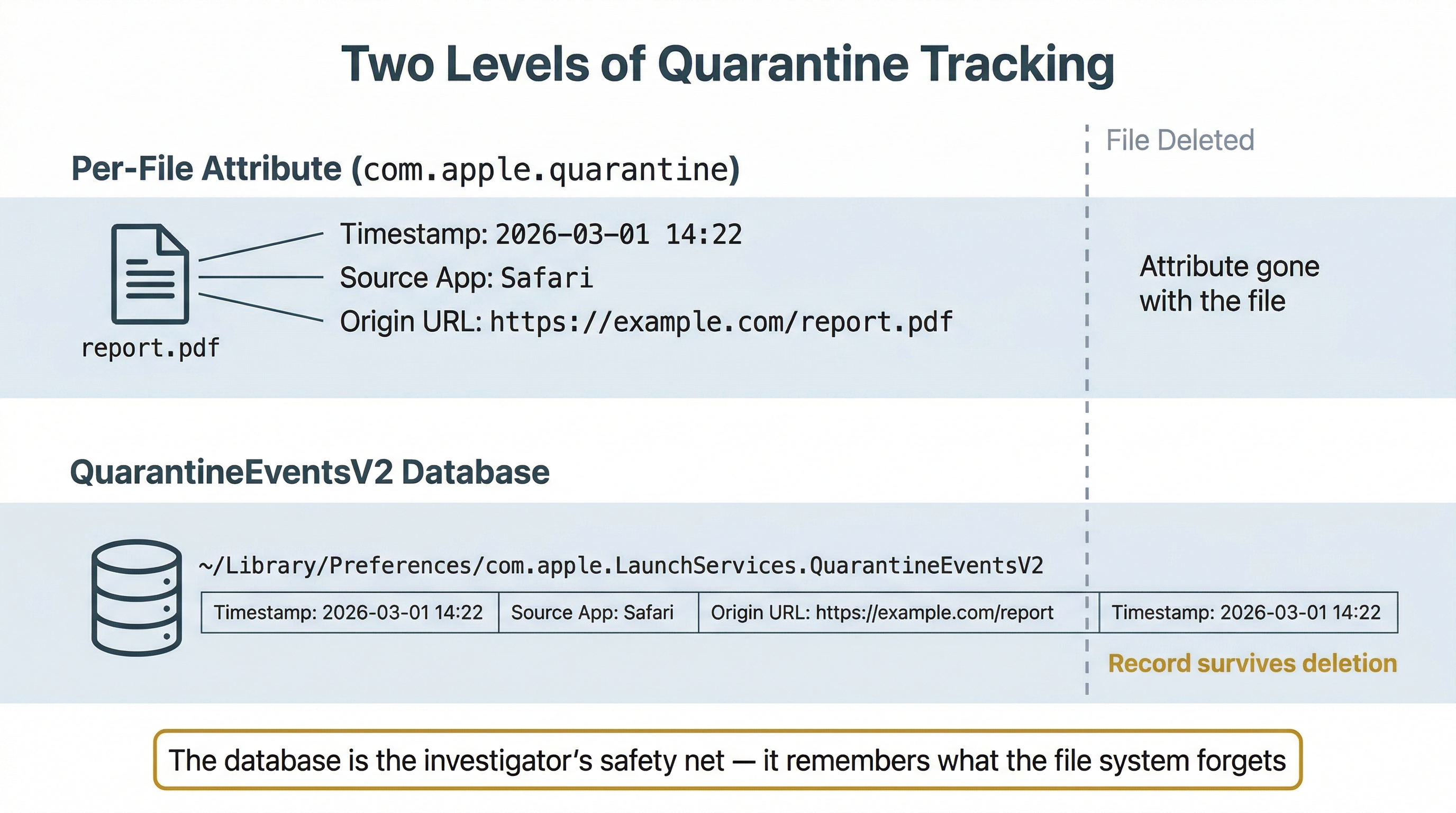 Concept explainer diagram titled 'Two Levels of Quarantine Tracking' showing how macOS tracks downloaded files. The diagram is divided into two horizontal lanes separated by a vertical dashed line labeled 'File Deleted.' Top lane labeled 'Per-File Attribute (com.apple.quarantine)' shows a file icon for 'report.pdf' with three annotations: 'Timestamp: 2026-03-01 14:22,' 'Source App: Safari,' and 'Origin URL: https://example.com/report.pdf.' To the right of the File Deleted line, a note reads 'Attribute gone with the file.' Bottom lane labeled 'QuarantineEventsV2 Database' shows a database icon with the path '~/Library/Preferences/com.apple.LaunchServices.QuarantineEventsV2' and a table row containing the same three data points. To the right of the File Deleted line, a gold note reads 'Record survives deletion.' A gold-bordered callout at the bottom reads 'The database is the investigator's safety net — it remembers what the file system forgets.'