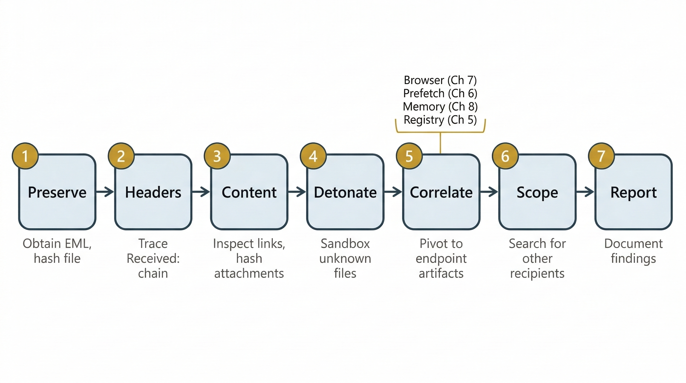 Seven-step phishing investigation workflow displayed as a horizontal process flow: Preserve, Headers, Content, Detonate, Correlate, Scope, and Report. Step 5 includes a callout referencing related forensic artifact chapters for Browser, Prefetch, Memory, and Registry analysis.