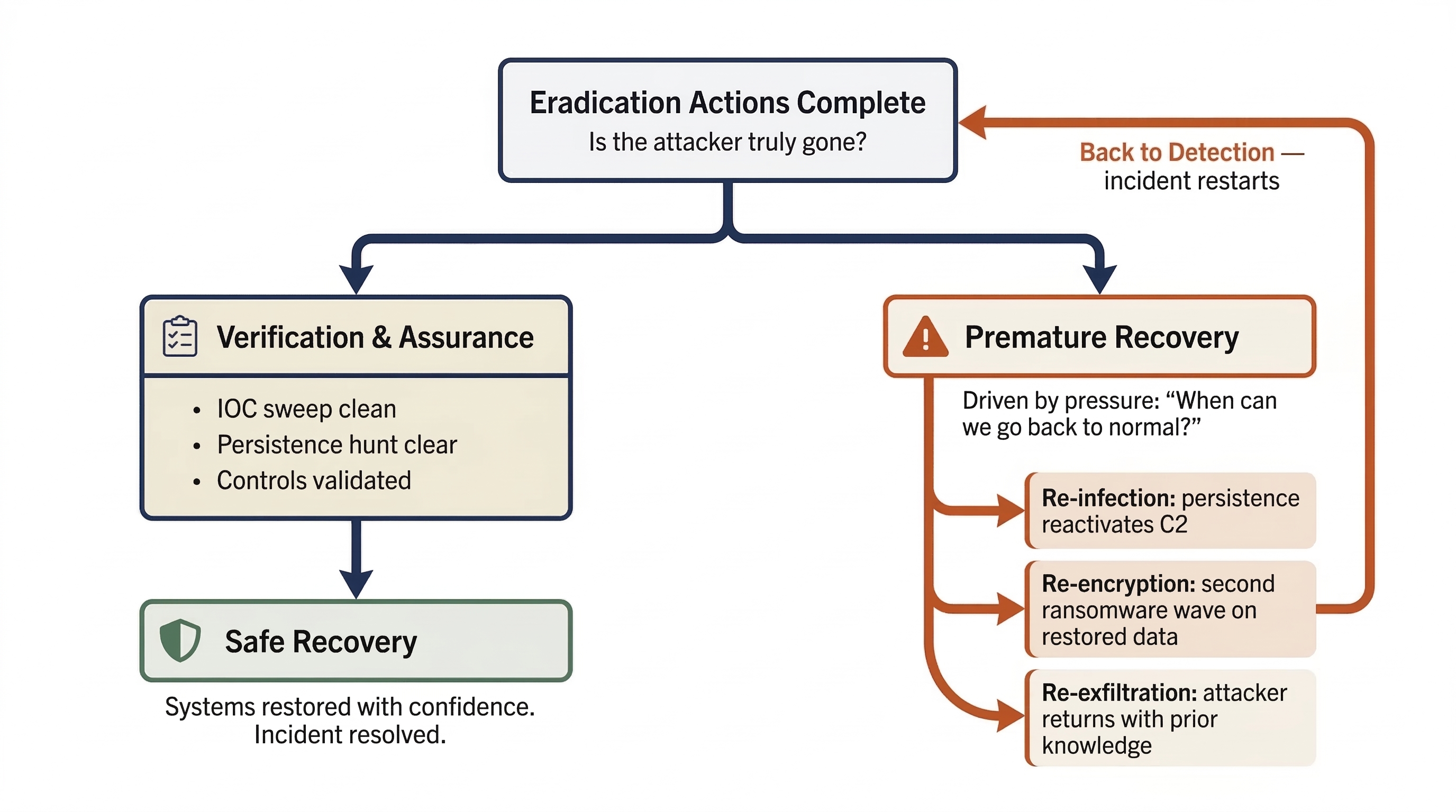 Decision flowchart after eradication actions are complete, splitting into two paths. The left path shows proper Verification and Assurance through IOC sweeps, persistence hunts, and control validation leading to Safe Recovery. The right path shows Premature Recovery driven by business pressure, which risks re-infection through persistence reactivating C2, re-encryption from a second ransomware wave, or re-exfiltration by a returning attacker, looping the incident back to Detection.