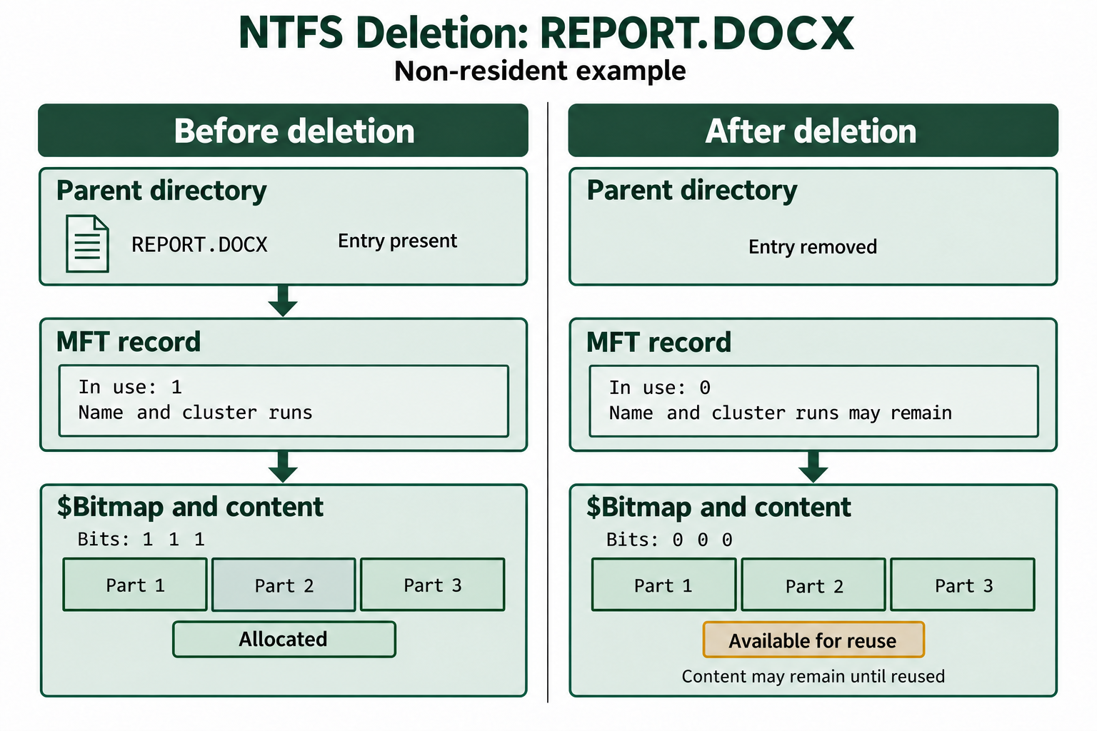 NTFS deletion removes the directory entry, marks the MFT record unused, and frees clusters. Metadata and content may survive.