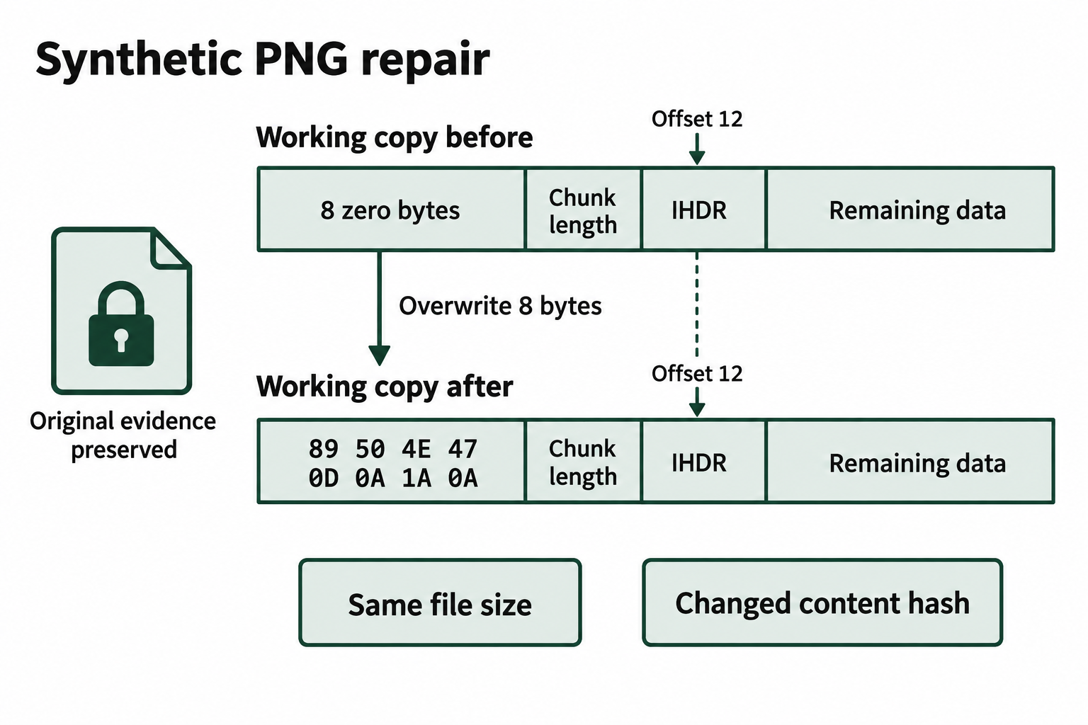 Replacing eight zero bytes with a PNG signature on a working copy preserves file size and the IHDR offset while changing the content hash.