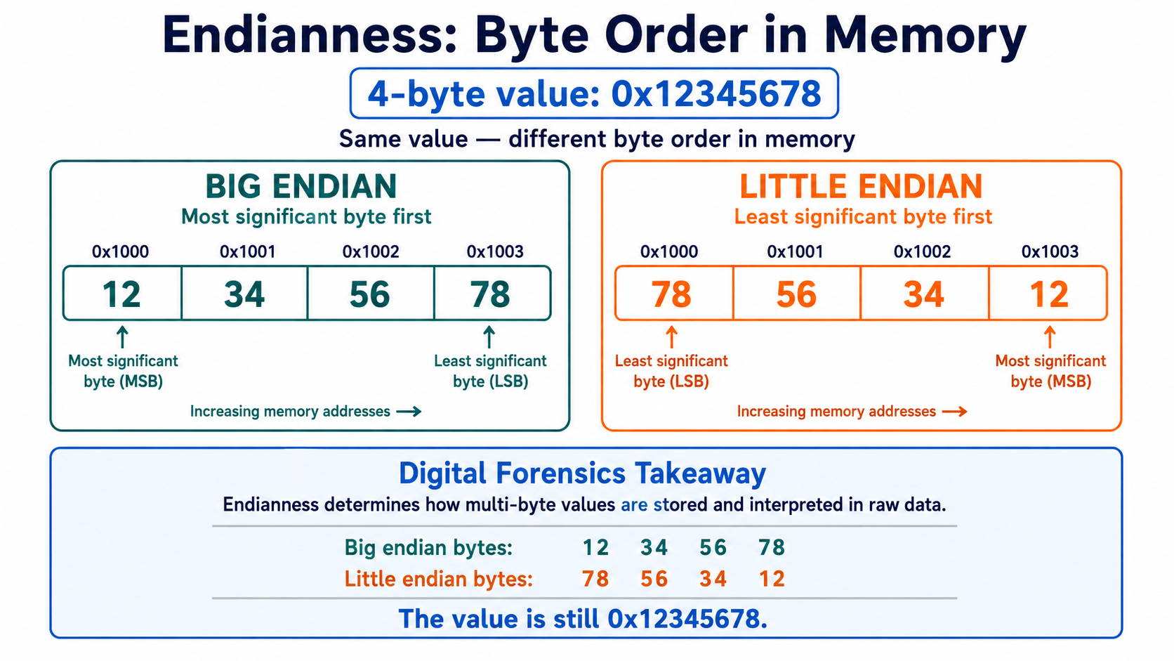 Endianness diagram showing 4-byte value 0x12345678 stored two ways: big-endian (left) stores bytes 12 34 56 78 at addresses 0x1000–0x1003 with MSB first, little-endian (right) stores bytes 78 56 34 12 with LSB first. Digital forensics takeaway: same value, different byte order based on system architecture