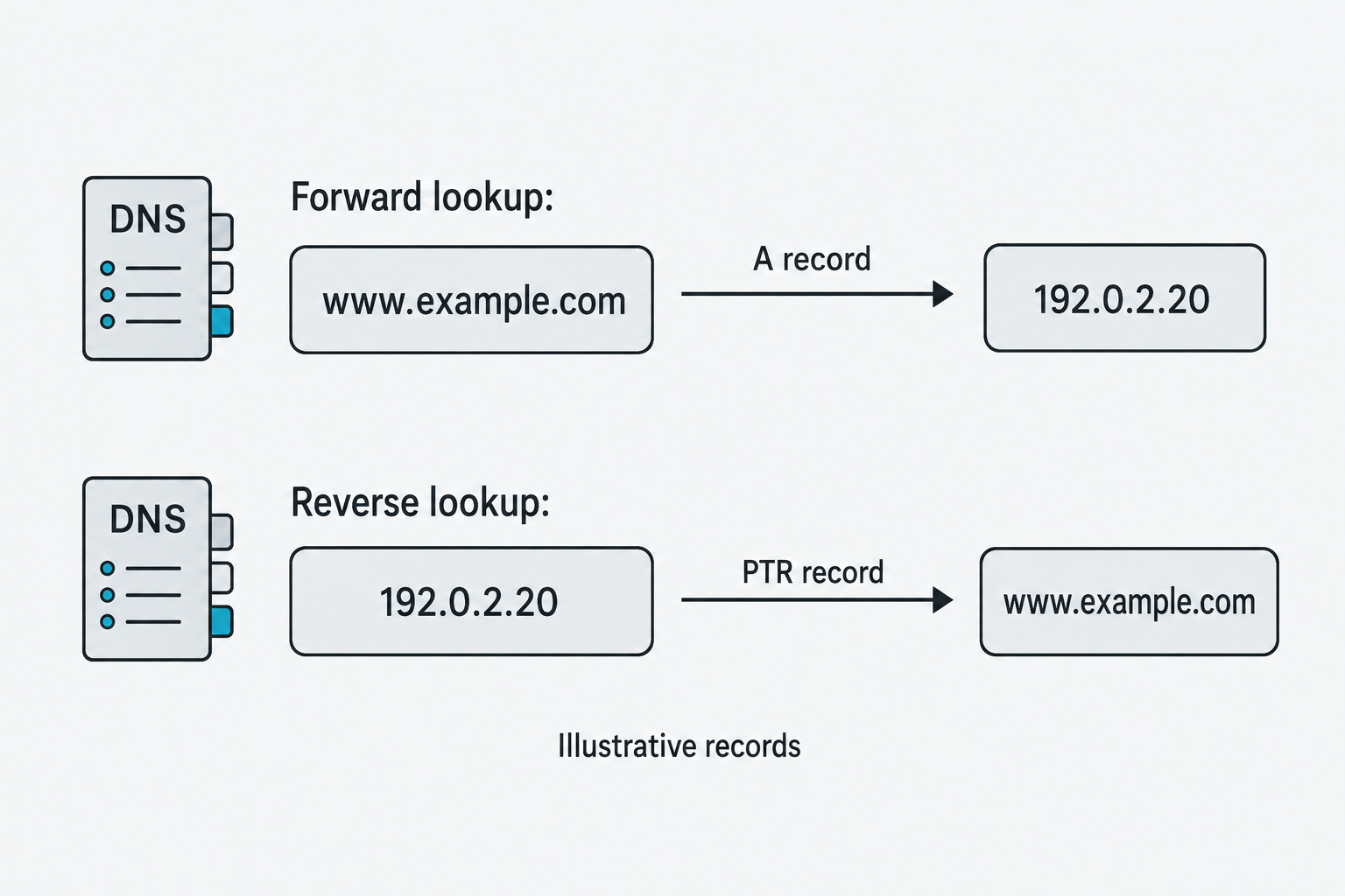 A forward lookup maps www.example.com to 192.0.2.20 using A. A reverse lookup maps the address to the name using PTR.
