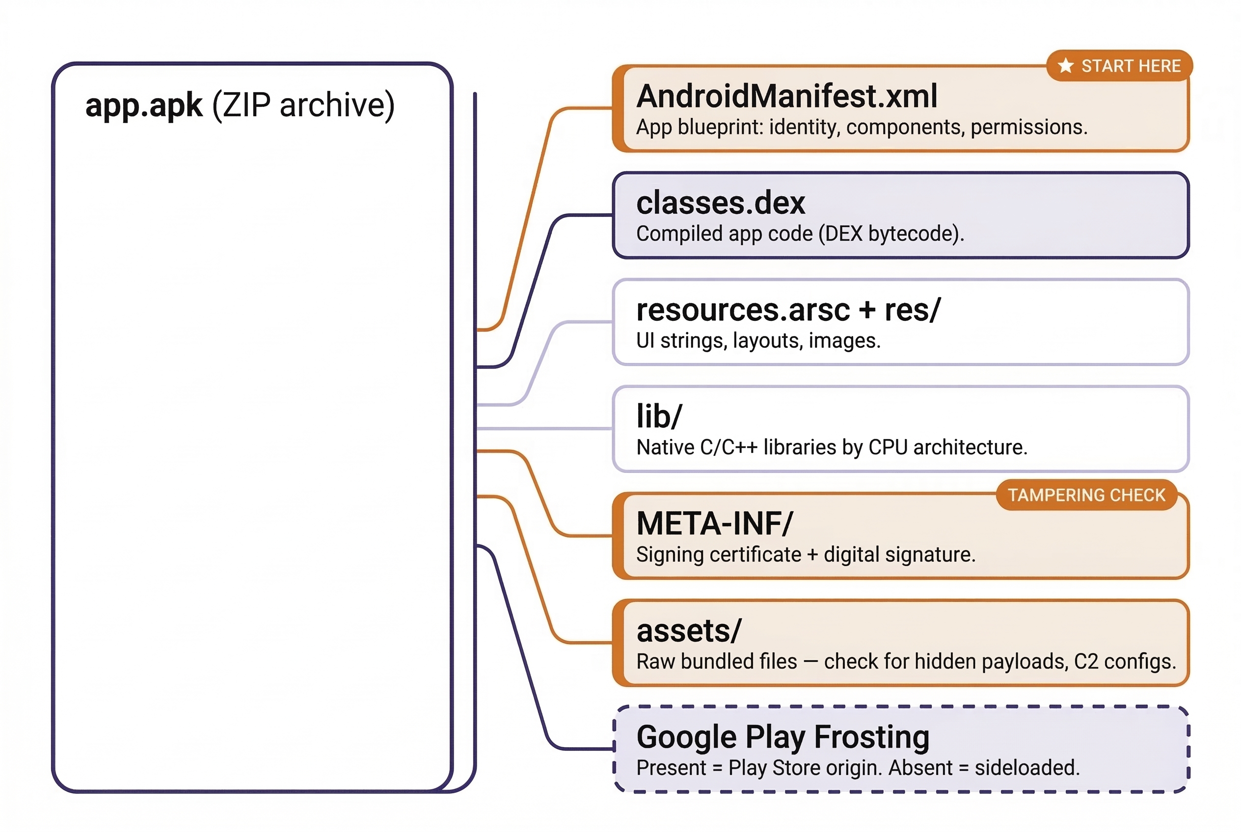 Anatomy diagram of an Android APK file shown as a ZIP archive with six internal components branching out. AndroidManifest.xml is marked as the starting point for analysis containing the app blueprint. Below it are classes.dex (compiled DEX bytecode), resources.arsc and res directory (UI strings and layouts), lib directory (native C/C++ libraries), META-INF directory (signing certificate, flagged for tampering checks), and assets directory (raw bundled files to check for hidden payloads). A separate callout notes Google Play Frosting, whose presence confirms Play Store origin and absence indicates sideloading.
