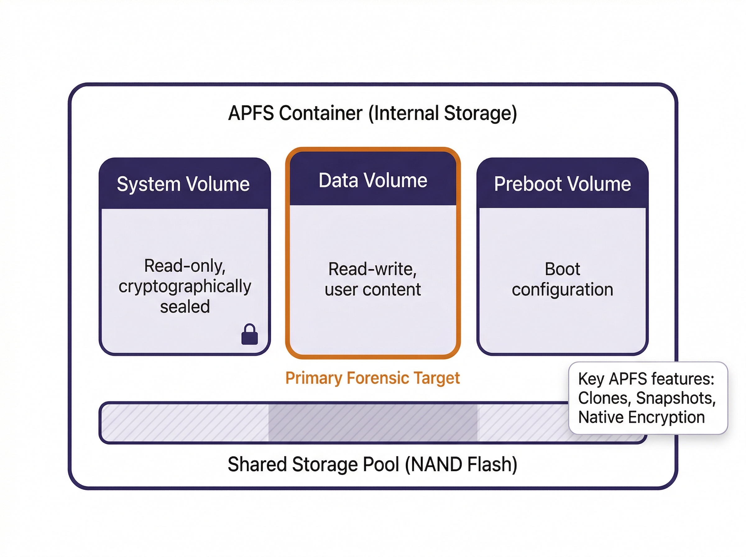 Architecture diagram showing the APFS container and volume layout on a modern iPhone. A large outer rounded rectangle labeled 'APFS Container (Internal Storage)' contains three inner rounded rectangles side by side. Left: 'System Volume' described as 'Read-only, cryptographically sealed' with a lock icon. Center: 'Data Volume' highlighted with a tangerine border, described as 'Read-write, user content,' with a label below reading 'Primary Forensic Target' in tangerine text. Right: 'Preboot Volume' described as 'Boot configuration.' Below all three volumes, a hatched horizontal bar represents the 'Shared Storage Pool (NAND Flash)' extending under all volumes. A callout box in the bottom-right reads 'Key APFS features: Clones, Snapshots, Native Encryption.'