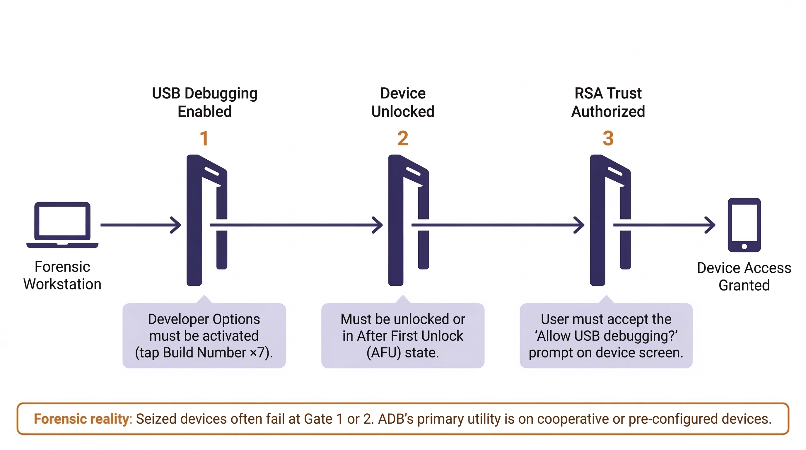 Diagram showing the three security gates a forensic workstation must pass to gain ADB access to an Android device. Gate 1 requires USB Debugging to be enabled via Developer Options. Gate 2 requires the device to be unlocked or in After First Unlock state. Gate 3 requires the user to accept the RSA trust authorization prompt on the device screen. A note warns that seized devices often fail at Gate 1 or 2, making ADB primarily useful for cooperative or pre-configured devices.