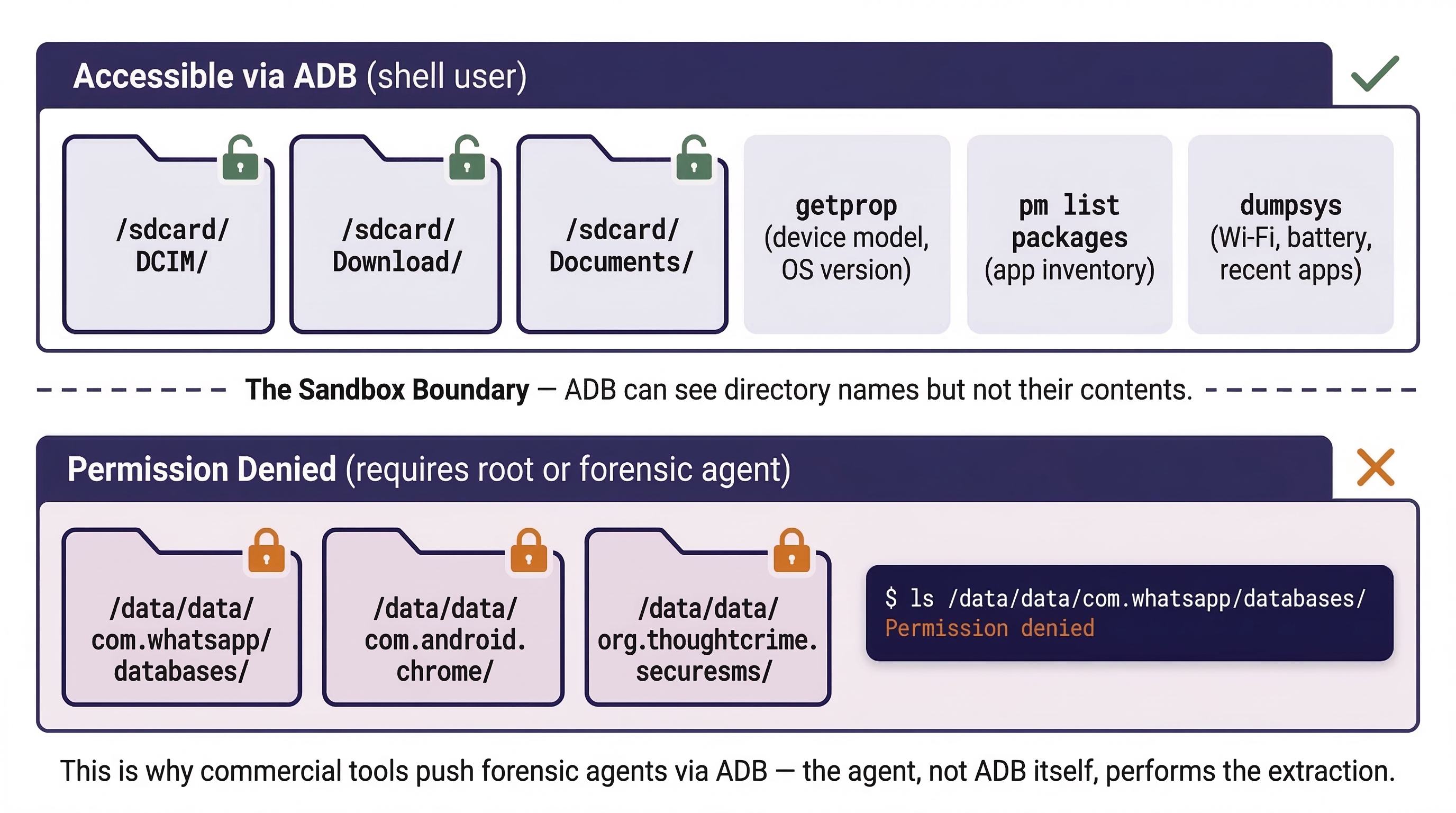 Two-tier diagram showing ADB access boundaries on Android. The top tier lists data accessible via ADB shell user including sdcard directories for DCIM, Downloads, and Documents, plus system commands like getprop, pm list packages, and dumpsys. A dashed sandbox boundary separates this from the lower tier showing permission-denied areas like app-private databases for WhatsApp, Chrome, and Signal, which require root or a forensic agent to access. A note explains this is why commercial tools push forensic agents via ADB rather than relying on ADB itself.